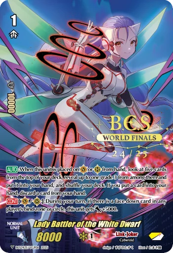 BCS2425/VGP06