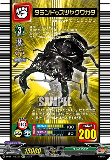 D-BT11/EX01