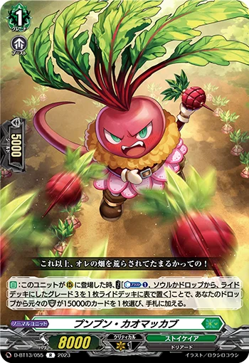 D-BT13/055