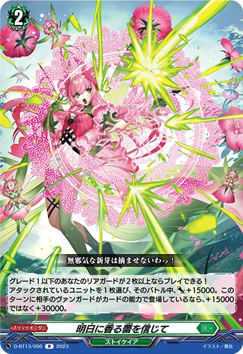 D-BT13/056