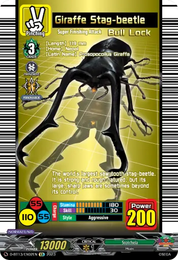 Giraffe Stag-beetle