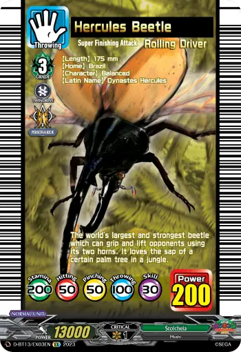 Hercules Beetle