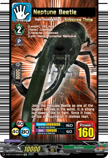 Neptune Beetle