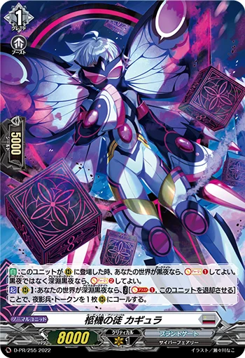 D-PR/255