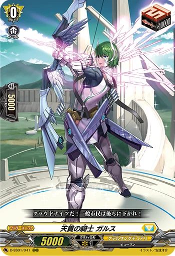 D-SS01/041