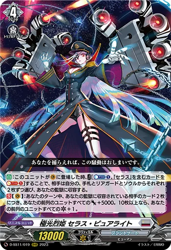 D-SS11/019
