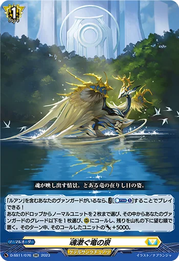 D-SS11/076