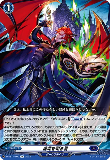 D-SS11/100