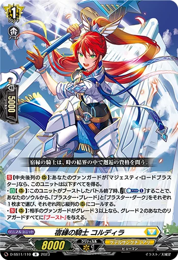D-SS11/110