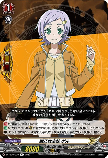 D-TB05/029