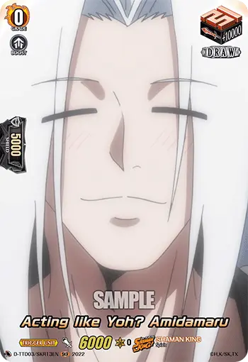 D-TTD03/SKR13EN