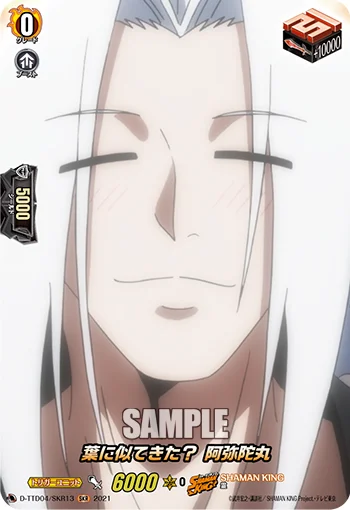 D-TTD04/SKR13