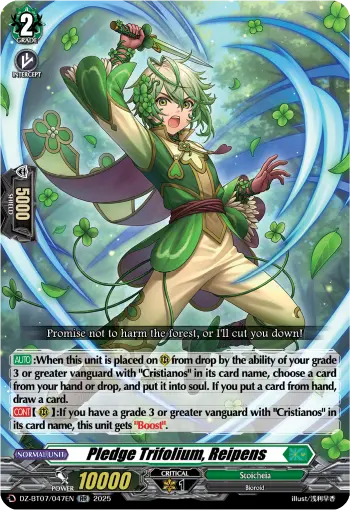 Pledge Trifolium, Reipens