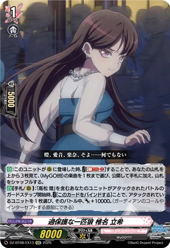 DZ-BT08/EX13