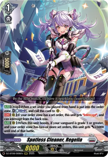 Spatless Cleaner, Regelia
