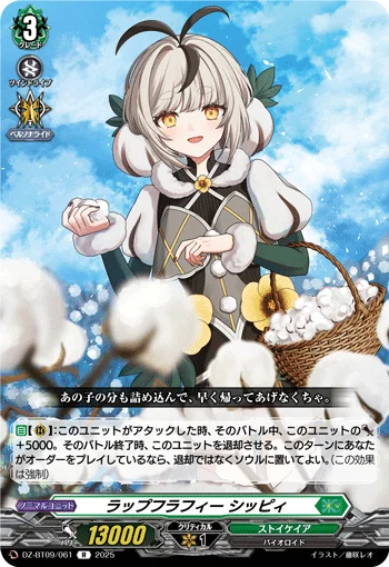 DZ-BT09/061