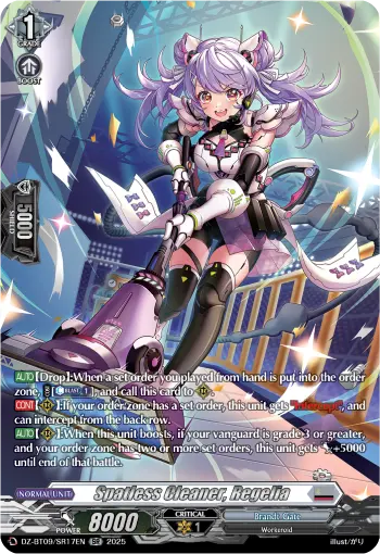 Spatless Cleaner, Regelia