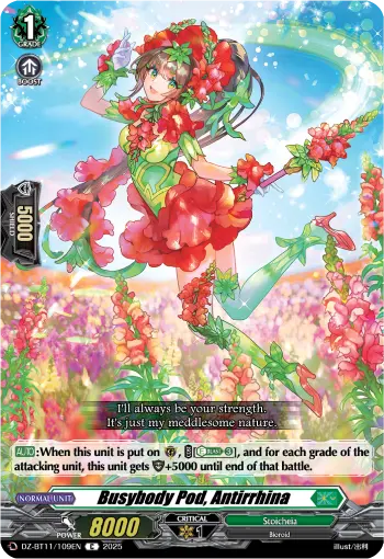 Busybody Pod, Antirrhina