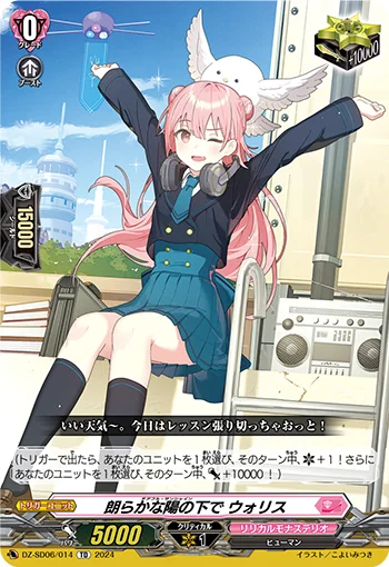 DZ-SD06/014