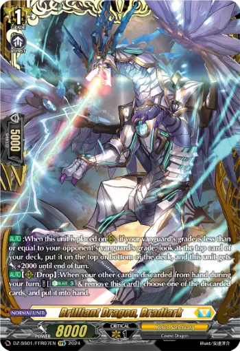 DZ-SS01/FFR07EN