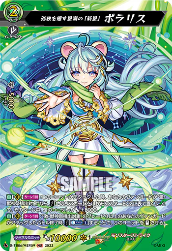 D-TB06/MSR09